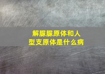 解脲脲原体和人型支原体是什么病