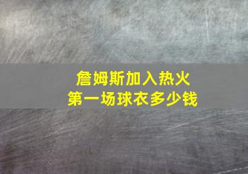 詹姆斯加入热火第一场球衣多少钱