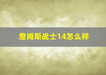 詹姆斯战士14怎么样