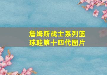 詹姆斯战士系列篮球鞋第十四代图片