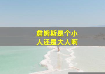 詹姆斯是个小人还是大人啊