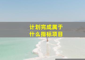 计划完成属于什么指标项目