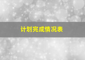 计划完成情况表