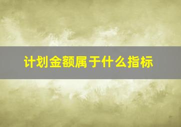 计划金额属于什么指标