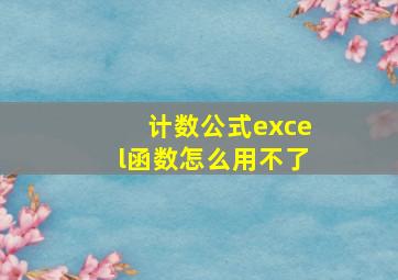 计数公式excel函数怎么用不了