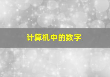 计算机中的数字