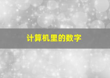 计算机里的数字