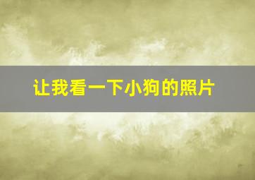 让我看一下小狗的照片