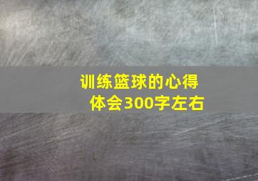 训练篮球的心得体会300字左右