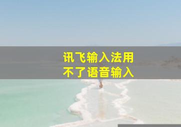 讯飞输入法用不了语音输入