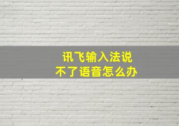 讯飞输入法说不了语音怎么办