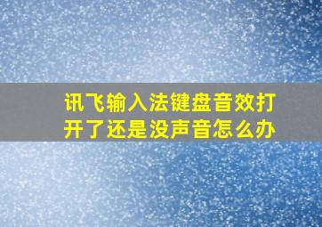 讯飞输入法键盘音效打开了还是没声音怎么办