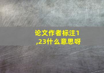 论文作者标注1,23什么意思呀