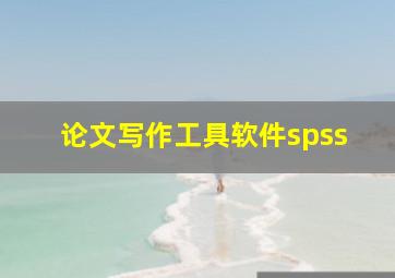 论文写作工具软件spss