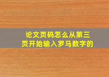 论文页码怎么从第三页开始输入罗马数字的