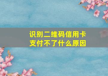 识别二维码信用卡支付不了什么原因