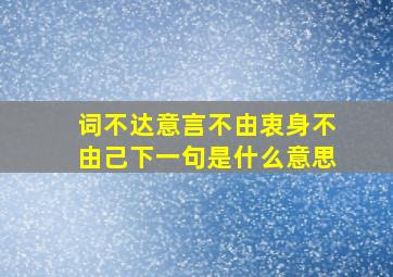 词不达意言不由衷身不由己下一句是什么意思