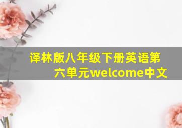 译林版八年级下册英语第六单元welcome中文