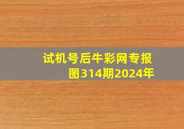 试机号后牛彩网专报图314期2024年