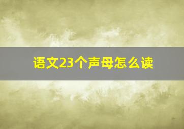 语文23个声母怎么读