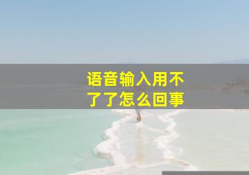 语音输入用不了了怎么回事