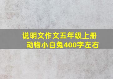 说明文作文五年级上册动物小白兔400字左右