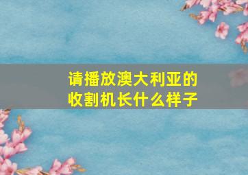 请播放澳大利亚的收割机长什么样子