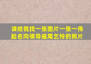 请给我找一张图片一张一伟起名向领导摇尾乞怜的照片