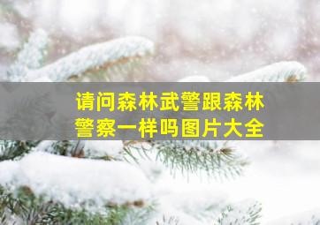 请问森林武警跟森林警察一样吗图片大全