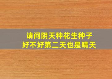 请问阴天种花生种子好不好第二天也是晴天