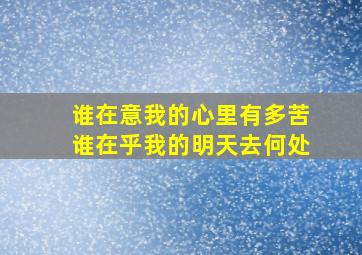 谁在意我的心里有多苦谁在乎我的明天去何处