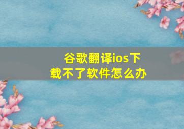 谷歌翻译ios下载不了软件怎么办