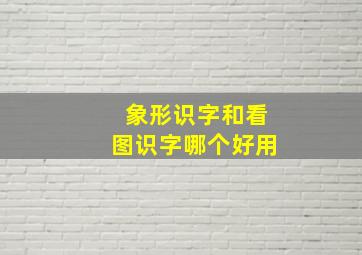 象形识字和看图识字哪个好用