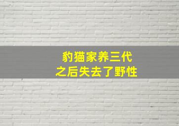 豹猫家养三代之后失去了野性