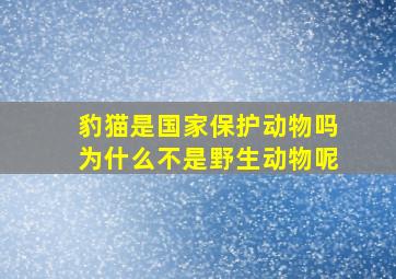 豹猫是国家保护动物吗为什么不是野生动物呢