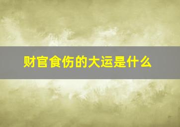 财官食伤的大运是什么