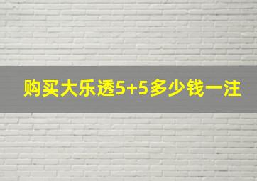 购买大乐透5+5多少钱一注