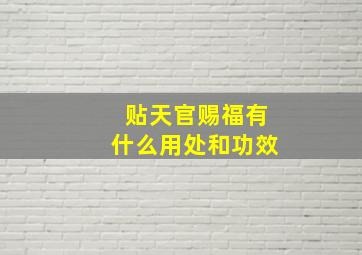 贴天官赐福有什么用处和功效