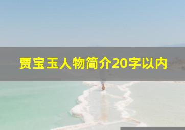 贾宝玉人物简介20字以内