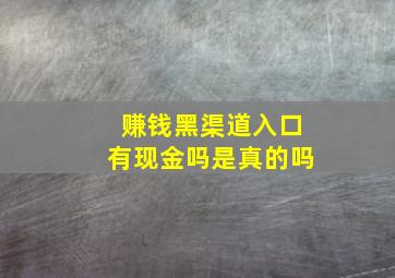 赚钱黑渠道入口有现金吗是真的吗