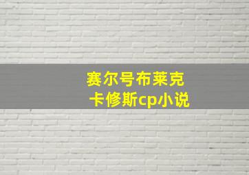 赛尔号布莱克卡修斯cp小说