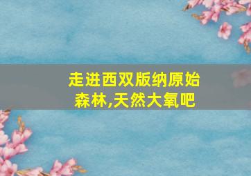 走进西双版纳原始森林,天然大氧吧