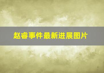 赵睿事件最新进展图片