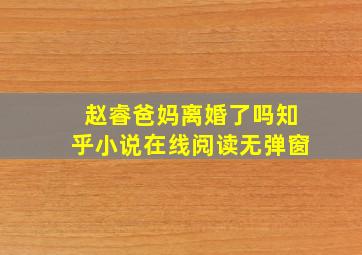 赵睿爸妈离婚了吗知乎小说在线阅读无弹窗