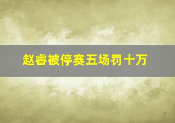 赵睿被停赛五场罚十万