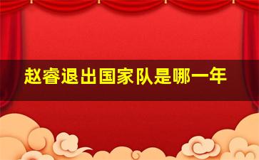 赵睿退出国家队是哪一年