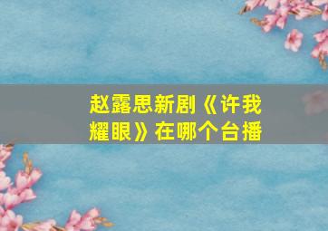 赵露思新剧《许我耀眼》在哪个台播