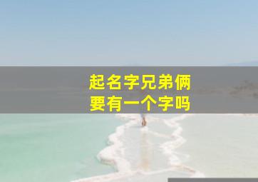 起名字兄弟俩要有一个字吗