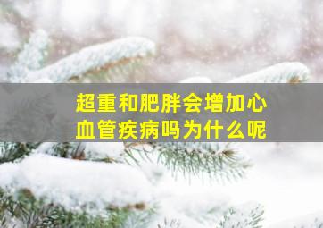 超重和肥胖会增加心血管疾病吗为什么呢