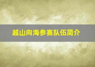 越山向海参赛队伍简介